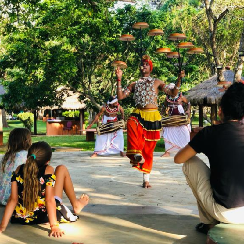 Profit | ArTravele | Luxury Travel Agency in Sri Lanka | Bespoke Tour Packages Profit